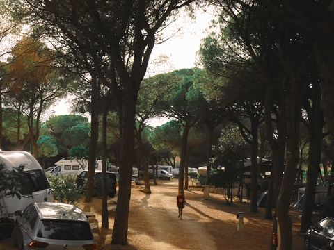 Camping Figurotta - Camping Aude - Image N°33