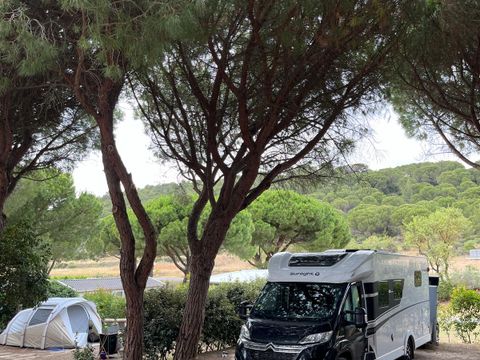 Camping Figurotta - Camping Aude - Image N°27