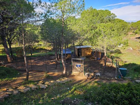Camping Ushuaïa Villages Figurotta - Camping Aude - Image N°36