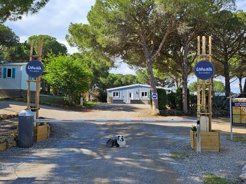 Camping Ushuaïa Villages Figurotta - Camping Aude - Image N°24