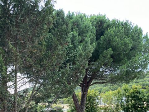 Camping Figurotta - Camping Aude - Image N°30