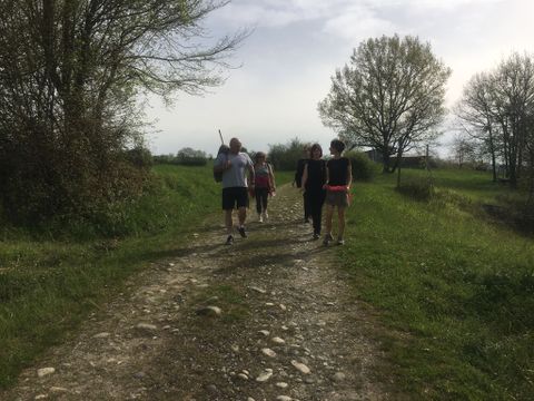 Camping Intercommunal Le Plantaurel - Camping Haute-Garonne - Image N°7