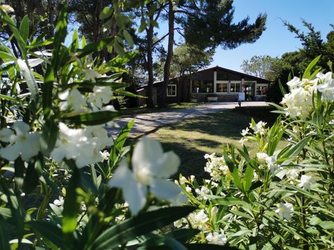 Camping La Commanderie - Camping Aude - Image N°15
