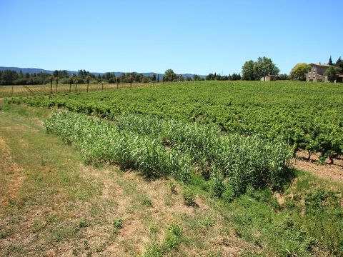 Camping La Commanderie - Camping Aude - Image N°18