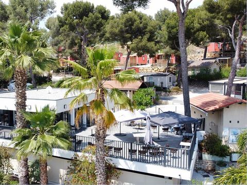 Camping de Ceyreste - Camping Bouches-du-Rhône - Image N°8