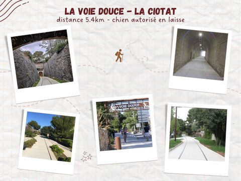 Camping de Ceyreste - Camping Bouches-du-Rhône - Image N°34