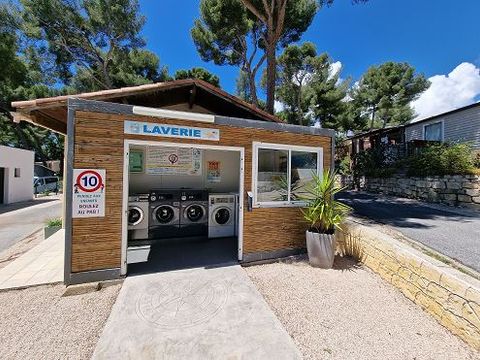 Camping de Ceyreste - Camping Bouches-du-Rhône - Image N°5