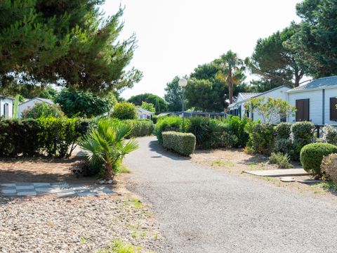 Domaine Les Mûriers - Camping Hérault - Image N°9