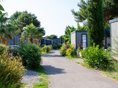Domaine Les Mûriers - Camping Hérault - Image N°7