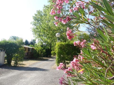Camping de Montolieu - Camping Aude - Image N°9