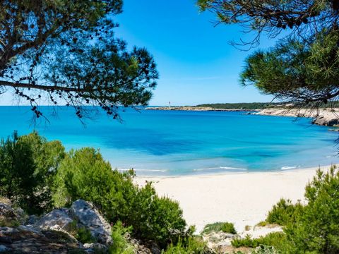 Camping La Source - Camping Bouches-du-Rhône - Image N°6