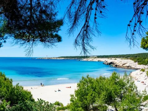 Camping La Source - Camping Bouches-du-Rhône - Image N°13
