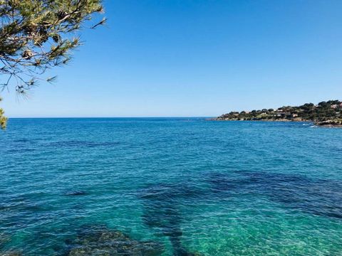 Camping au Paradis des Campeurs - Camping Var - Image N°16