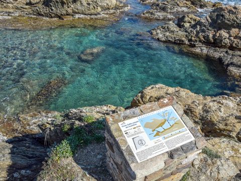 Camping au Paradis des Campeurs - Camping Var - Image N°39