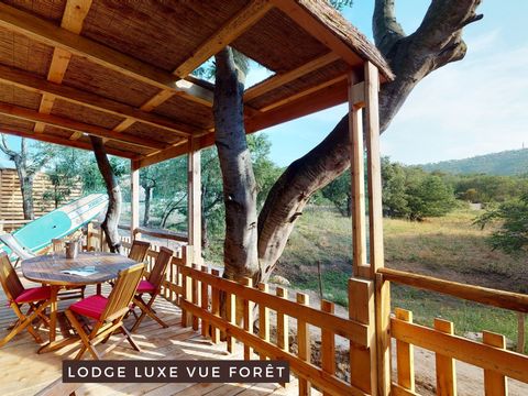 Camping au Paradis des Campeurs - Camping Var - Image N°32