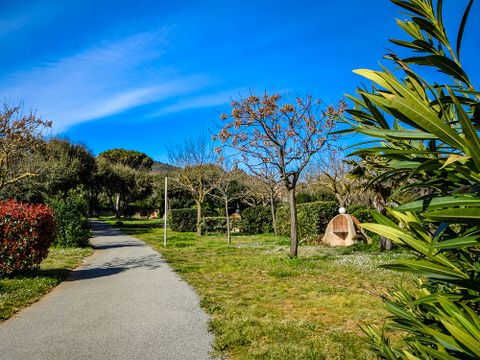 Camping au Paradis des Campeurs - Camping Var - Image N°7