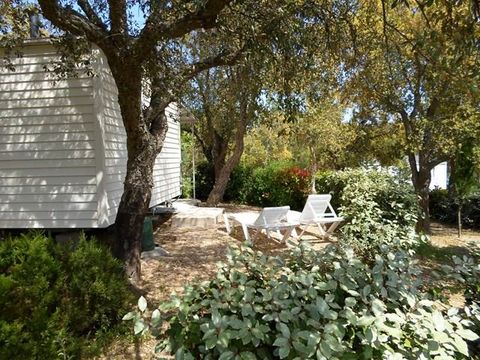 MOBILHOME 5 personnes - Inexistant