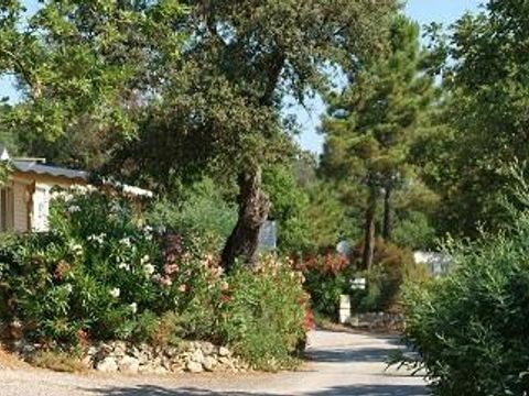 MOBILHOME 4 personnes - Privilège A - 2 chambres - 4 personnes