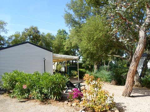 MOBILHOME 6 personnes - Cottage B Clim