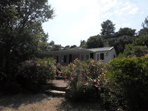 MOBILHOME 5 personnes - 4/5 Cottage C Clim