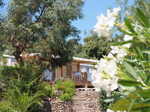 MOBILHOME 6 personnes - Cottage Espace A - 3 chambres - 6 personnes