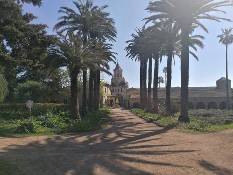 Camping Les Lauriers Roses - Camping Var - Image N°62