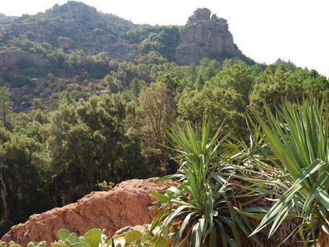 Camping Les Lauriers Roses - Camping Var - Image N°53