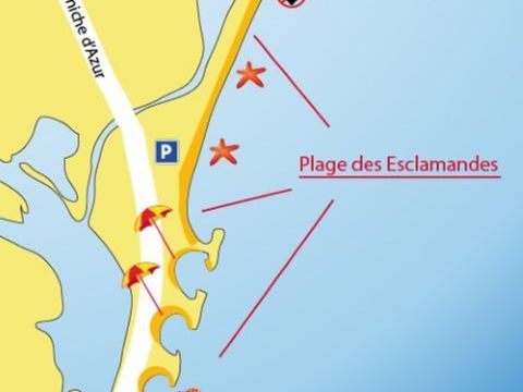 Camping Les Lauriers Roses - Camping Var - Image N°41