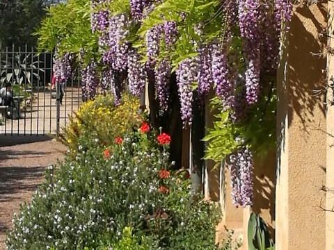 Camping Les Lauriers Roses - Camping Var - Image N°42