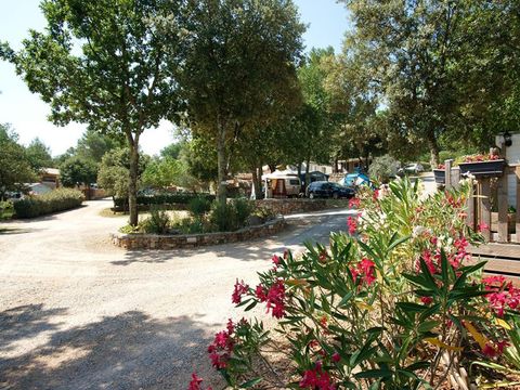MOBILHOME 4 personnes - Prestige