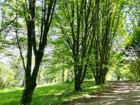 GÎTE 5 personnes - Familial