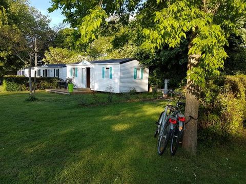 Camping Le Moulin Du Roy - Camping Haute-Garonne - Image N°5