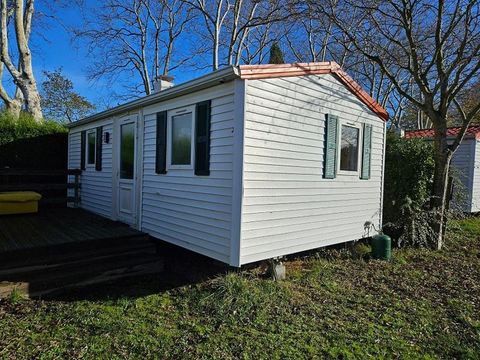Camping Le Moulin Du Roy - Camping Haute-Garonne - Image N°35