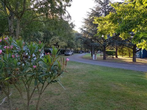 Camping Le Moulin Du Roy - Camping Haute-Garonne - Image N°3