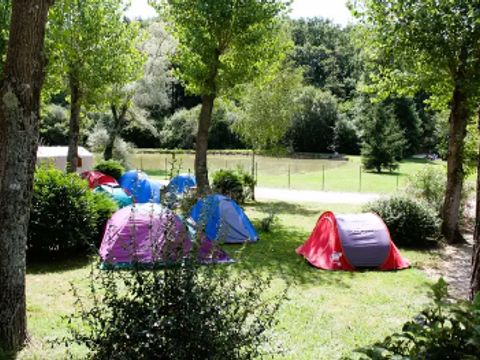 Emplacement - tente/ camping-car/ caravane - avec électricité