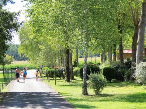 Camping l'Orée du Bois by Noricamp - Camping Pyrénées-Atlantiques - Image N°4