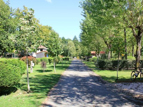Camping l'Orée du Bois by Noricamp - Camping Pyrénées-Atlantiques - Image N°8
