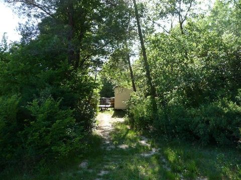Camping Chantecler - Camping Bouches-du-Rhône - Image N°21