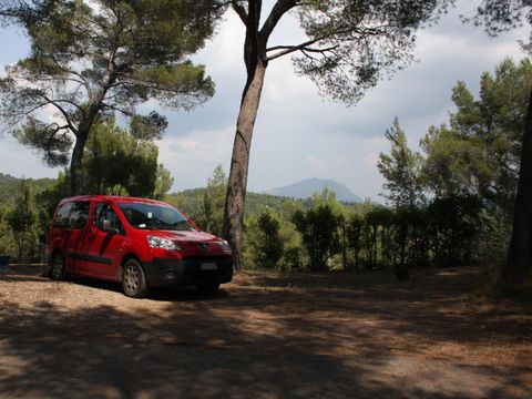 Camping Chantecler - Camping Bouches-du-Rhône - Image N°19
