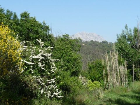 Camping Chantecler - Camping Bouches-du-Rhône - Image N°15