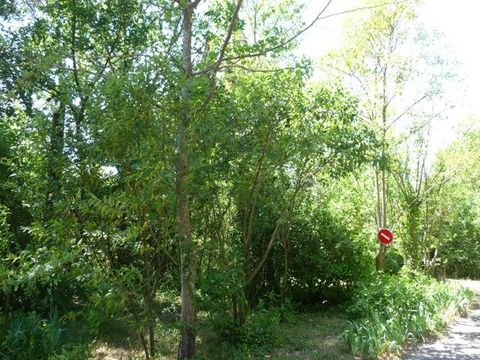 Camping Chantecler - Camping Bouches-du-Rhône - Image N°20