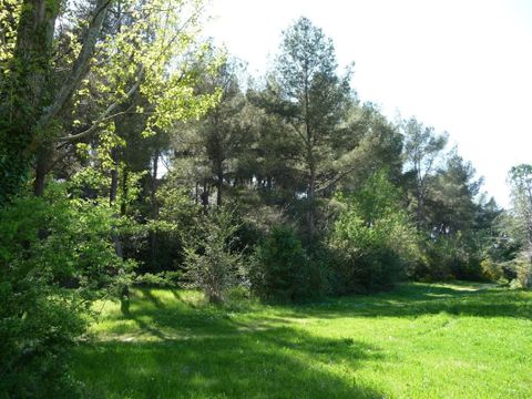 Camping Chantecler - Camping Bouches-du-Rhône - Image N°13