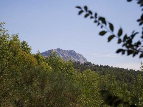 Camping Chantecler - Camping Bouches-du-Rhône - Image N°48