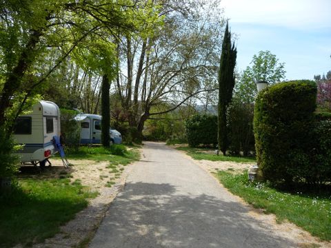 Camping Chantecler - Camping Bouches-du-Rhône - Image N°16