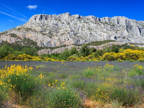 Camping Sainte Victoire - Camping Bouches-du-Rhône - Image N°5