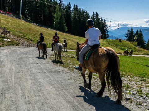 Camping Sainte Victoire - Camping Bouches-du-Rhône - Image N°6