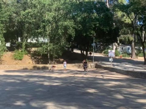 Camping La Foux - Camping Var - Image N°2