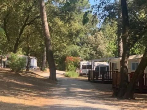Camping La Foux Camping La Foux - Camping Var - Image N°16