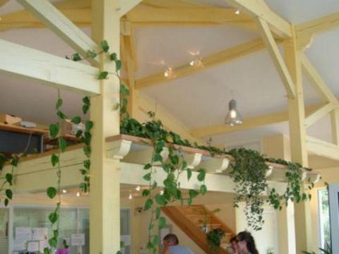 Camping Lou P'tit Poun  - Camping Landes - Image N°19