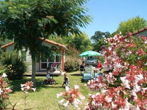 Camping Lou P'tit Poun  - Camping Landes - Image N°34